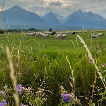 Vakantiehuis House Doma Nová Lesná